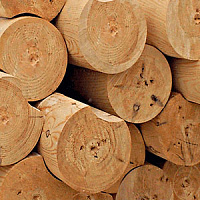 Оцилиндрованное бревно 300 мм